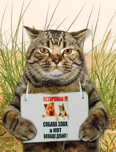 Платный курс 1